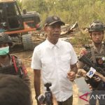 Geger OIKN Sikat Habis Penggarap Liar Tahura