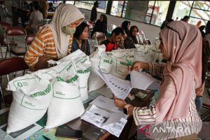 politica news 19 Bantuan Beras 30 Kg Benarkah Cuma Sebulan