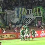Bajol Ijo Pecah Telur di Kandang Penuh Drama
