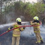 Jakarta Hari Ini: Kebakaran Hingga Isu Rumput JIS