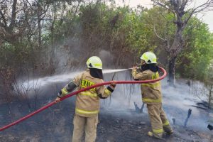 politica news 5 Jakarta Hari Ini: Kebakaran Hingga Isu Rumput JIS