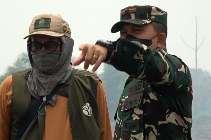 Gajah Sumatera Terancam Kebakaran Hutan 1 Gajah Sumatera Terancam Kebakaran Hutan