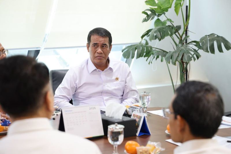 Rahasia Harga Telur Turun Drastis Terbongkar