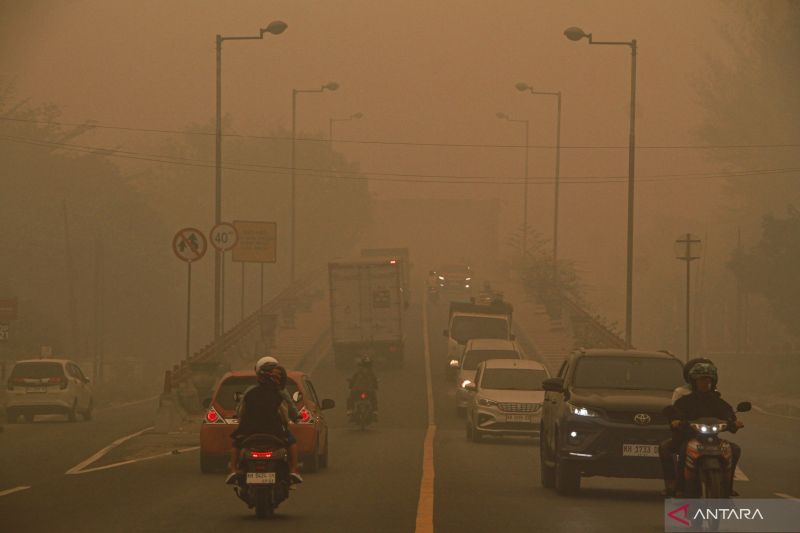 Palangka Raya Terkepung Kabut Asap Berbahaya