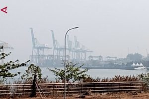 Siaga Karhutla Sulsel Kerahkan Ratusan Relawan