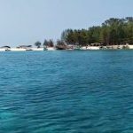 Rahasia Nelayan Lanjukang Melimpahkan Gurita