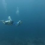 Misteri Hilangnya Korban KM Feronia