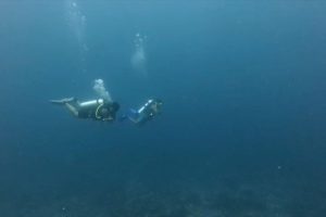 Misteri Hilangnya Korban KM Feronia