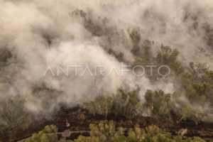 Sembilan Tersangka Karhutla Korporasi Ditetapkan