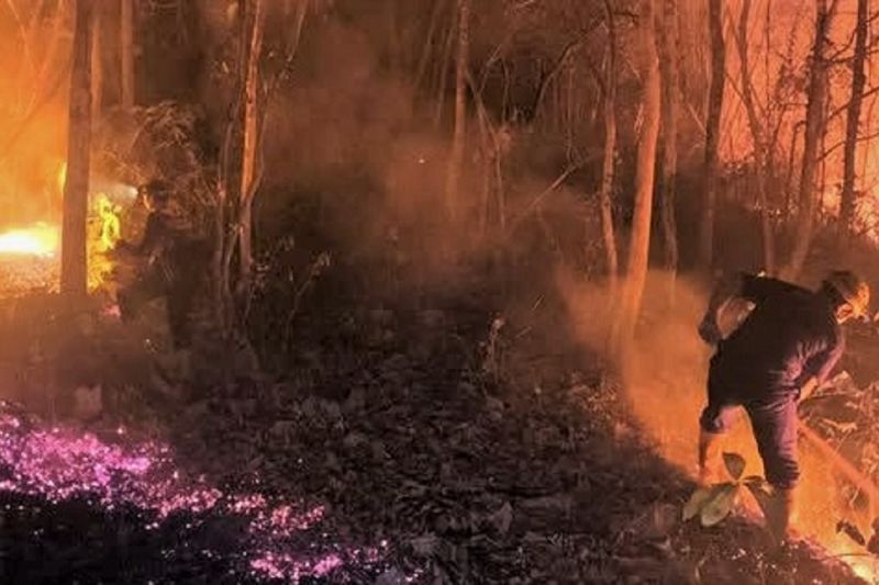 Asap Karhutla Mengancam Warga Butuh Aksi Cepat